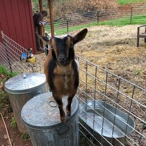 Meet your Posher, Jennifer